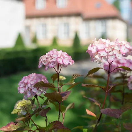 Apartamento Schloss Beuchow *